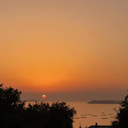 De Xaras, Mimosa Marin