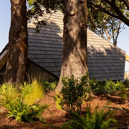 De Xaras, Mimosa Camping Marín