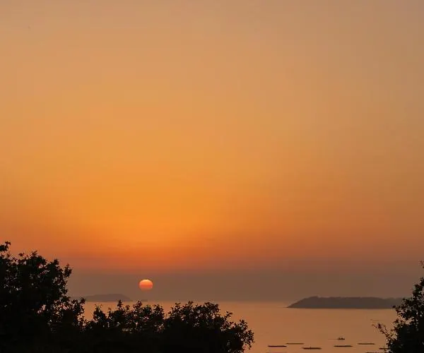 De Xaras, Mimosa Marín