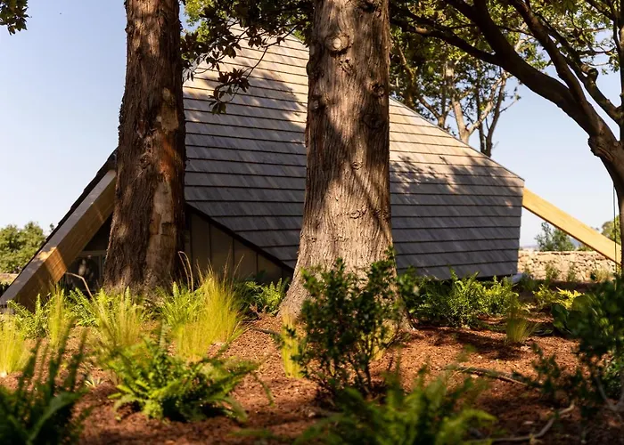 De Xaras, Mimosa Kamp alanı Marín