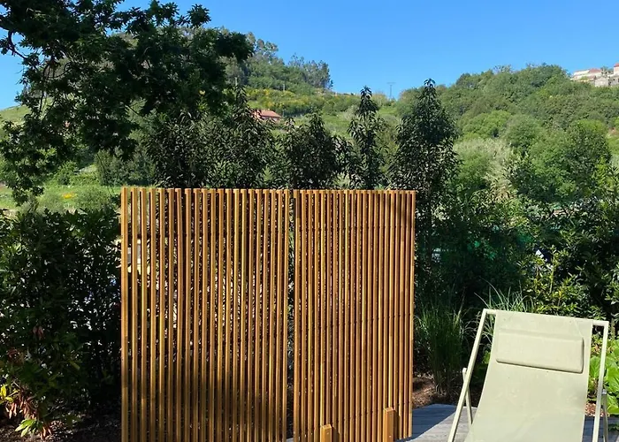 De Xaras, Mimosa Kamp alanı *